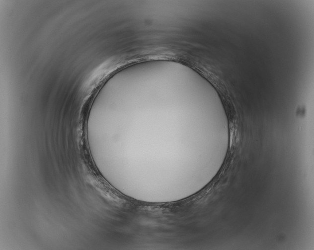 X0000114150339200911051447