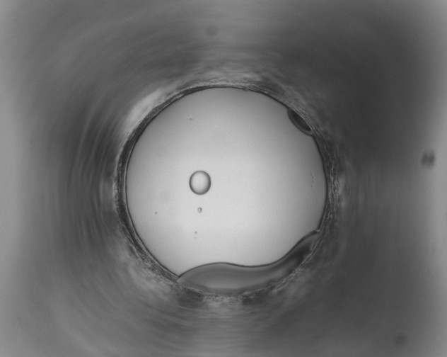 X0000114150340200911051447