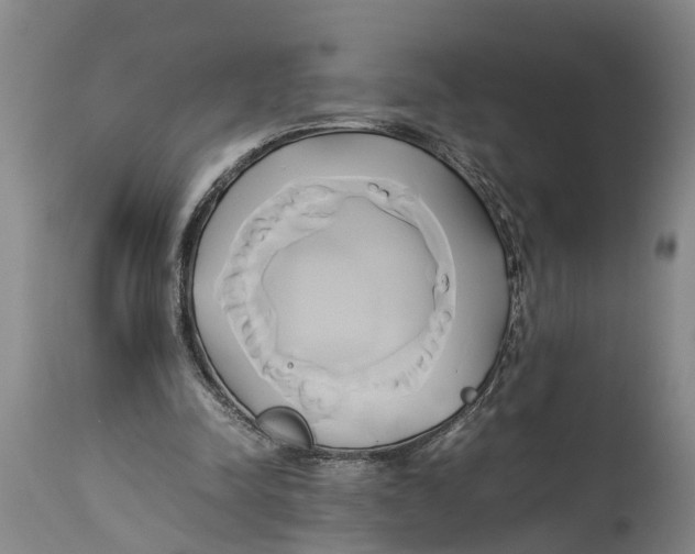 X0000114150342200911051447