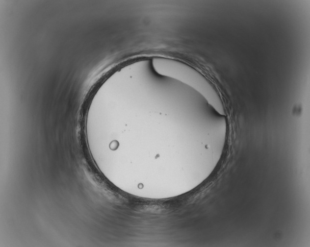 X0000114150344200911051447