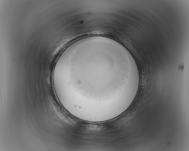 X0000114150347200911051447