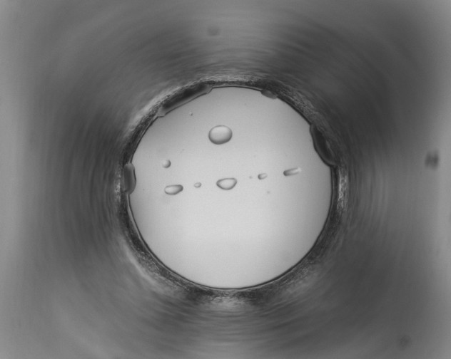 X0000114150348200911051447