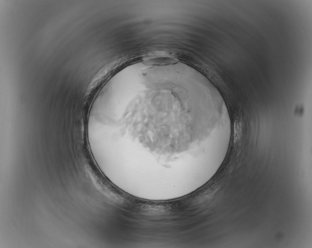 X0000114150349200911051447