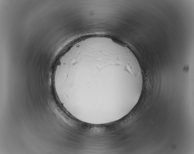 X0000114150350200911051447