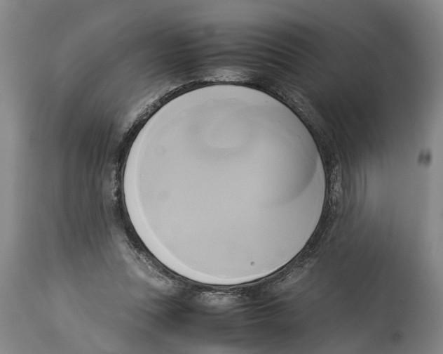 X0000114150351200911051447