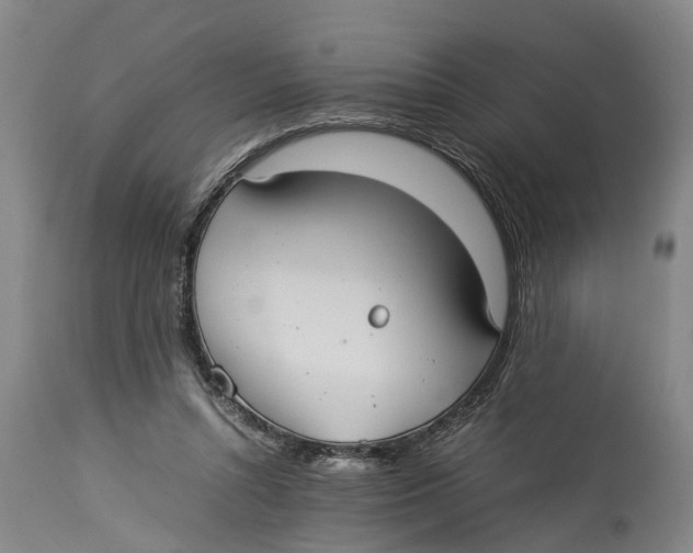 X0000114150352200911051447