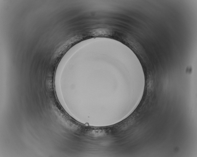 X0000114150353200911051447