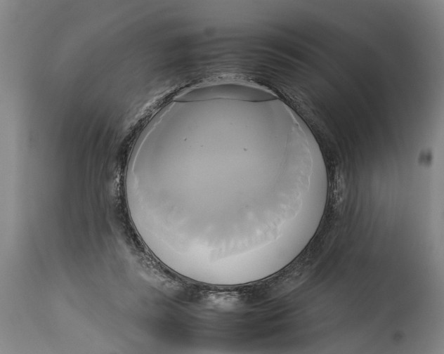 X0000114150355200911051447