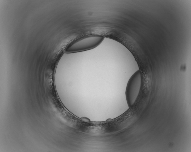 X0000114150356200911051447