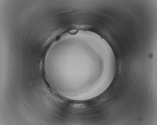 X0000114150357200911051447