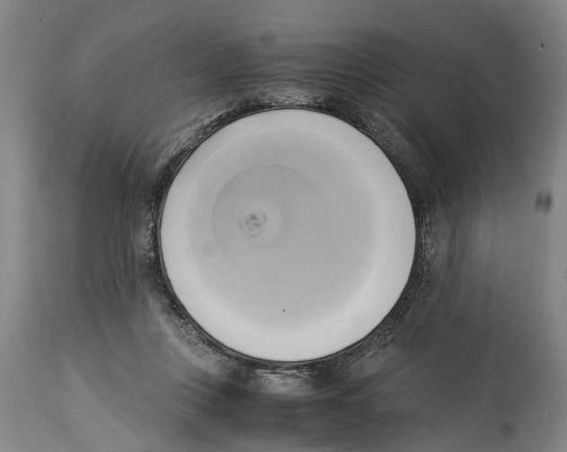 X0000114150359200911051447