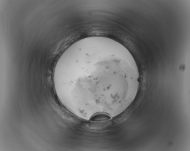 X0000114150361200911051447