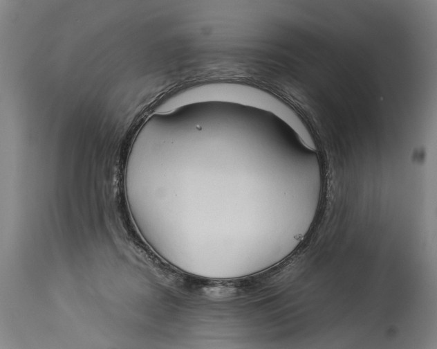 X0000114150362200911051447