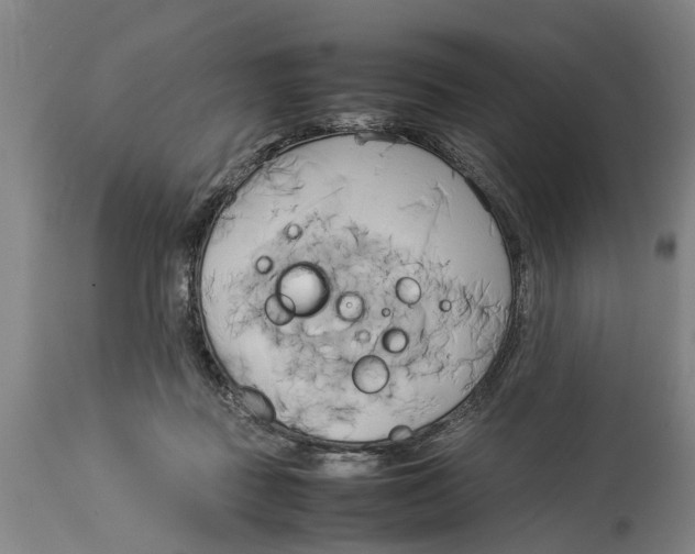 X0000114150363200911051447