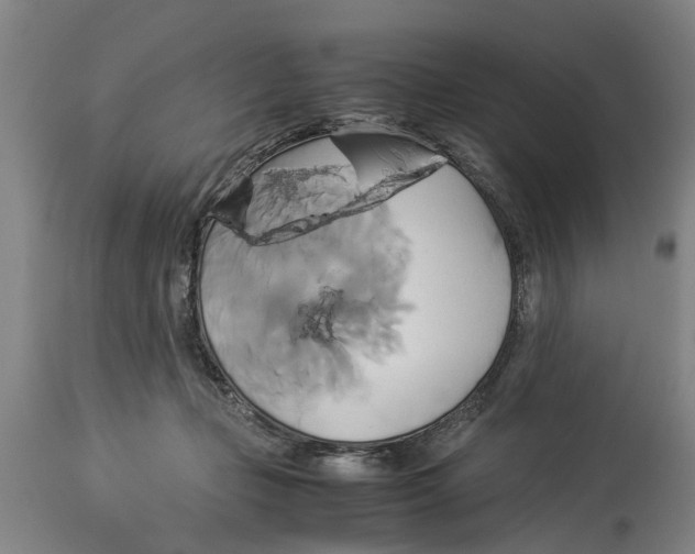 X0000114150365200911051447