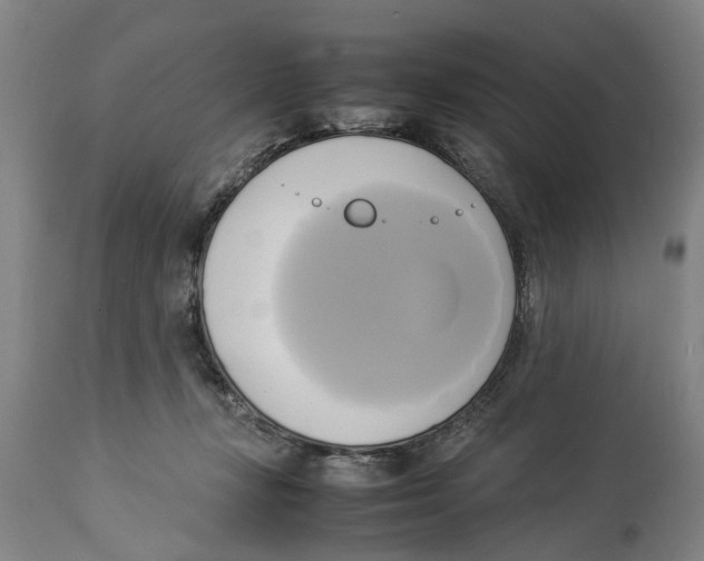 X0000114150367200911051447