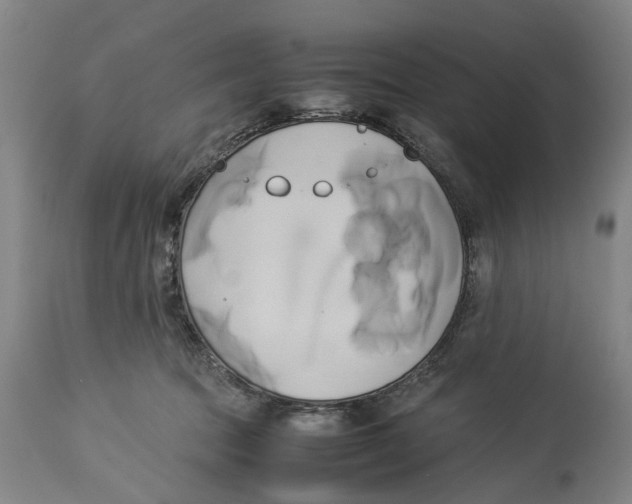 X0000114150369200911051447