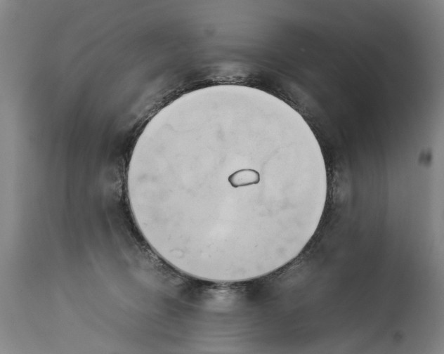 X0000114150370200911051447