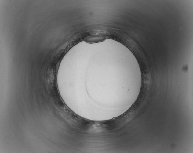X0000114150372200911051447