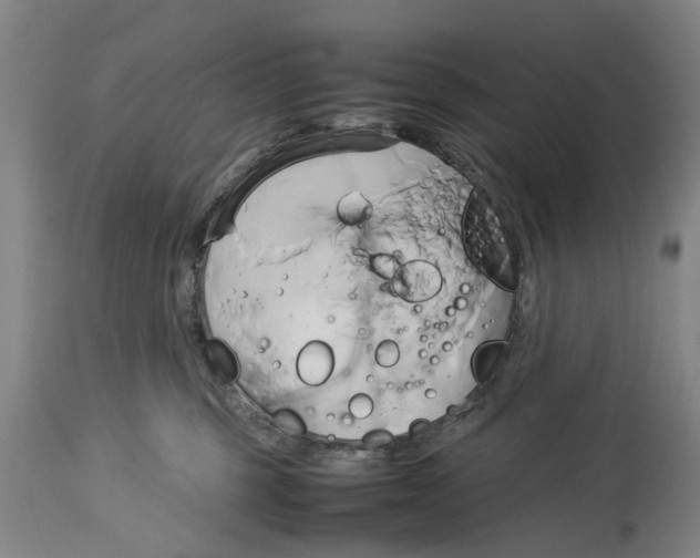 X0000114150375200911051448