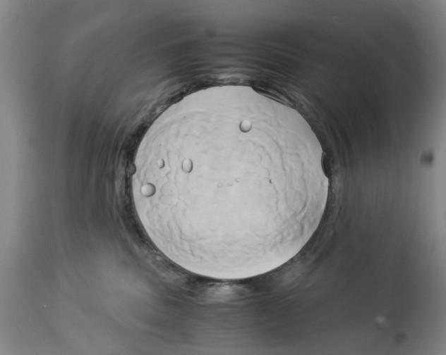 X0000114150379200911051448