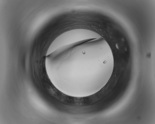 X0000114150382200911051448
