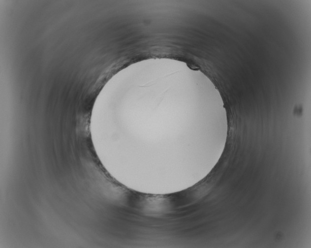 X0000114150383200911051448