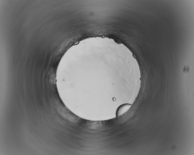 X0000114150384200911051448