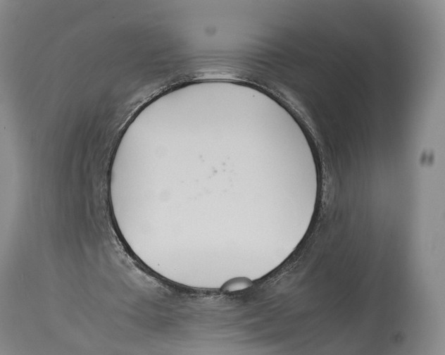 X0000114150385200911051447