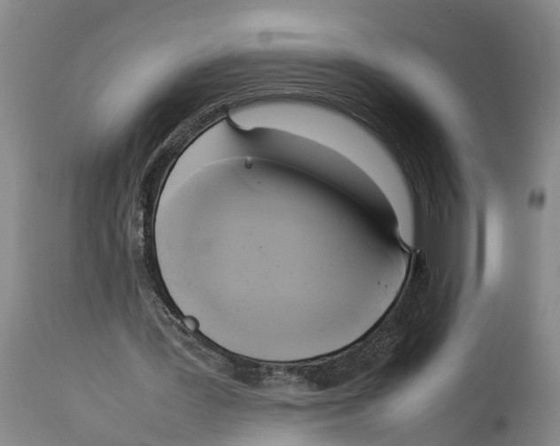 X0000114150387200911051447