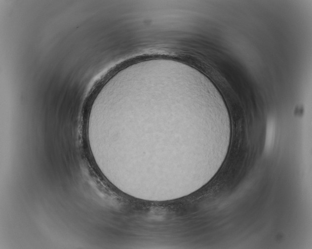 X0000114150388200911051447