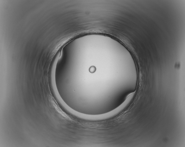 X0000114150389200911051447