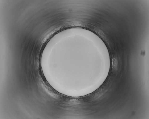 X0000114150390200911051447