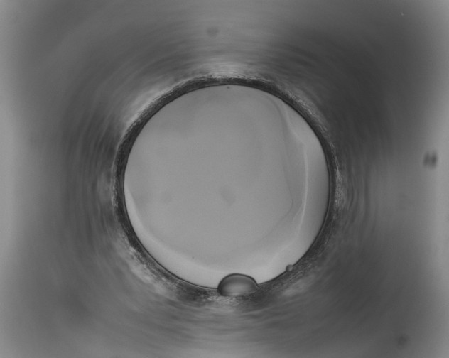X0000114150391200911051447