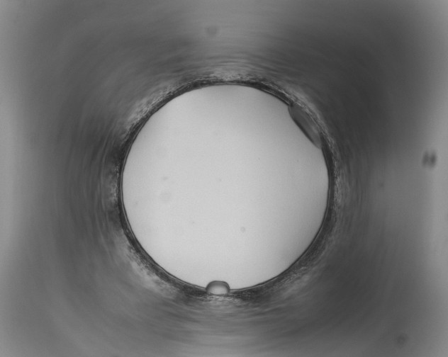 X0000114150393200911051447