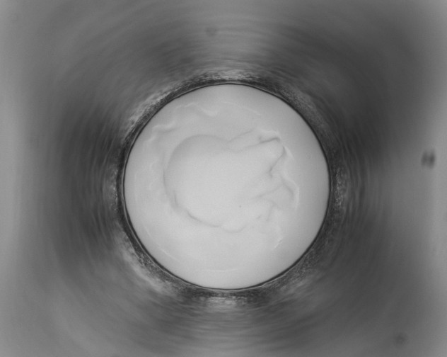 X0000114150394200911051447