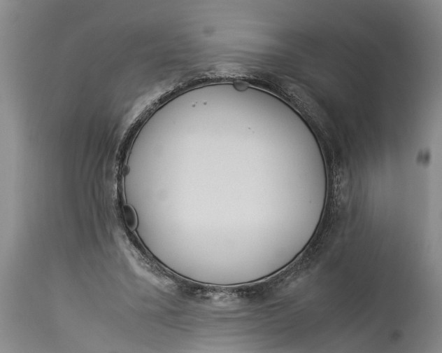 X0000114150395200911051447