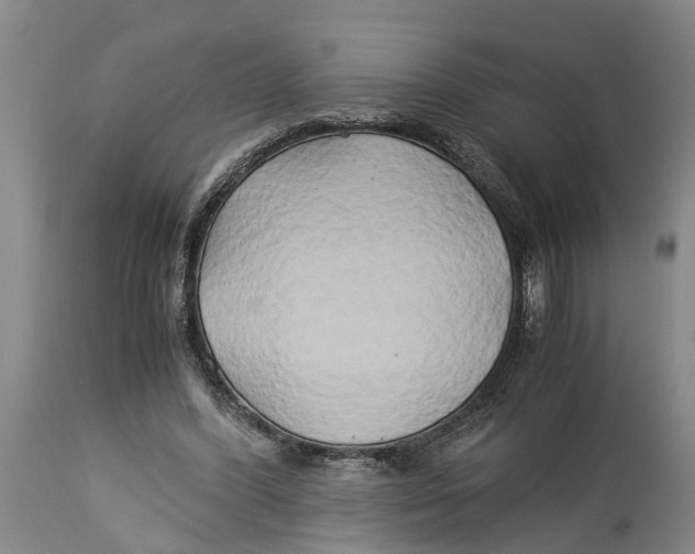 X0000114150396200911051447