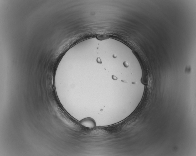 X0000114150397200911051447