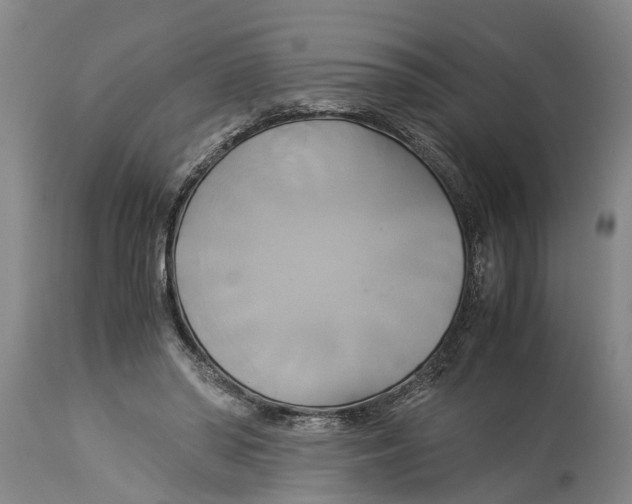 X0000114150398200911051447