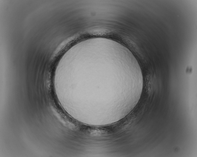 X0000114150400200911051447