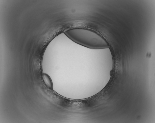 X0000114150401200911051447