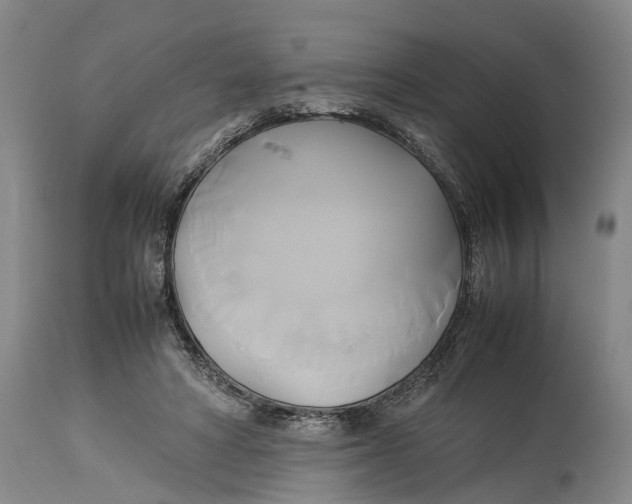 X0000114150402200911051447