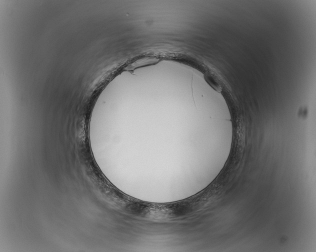 X0000114150403200911051447