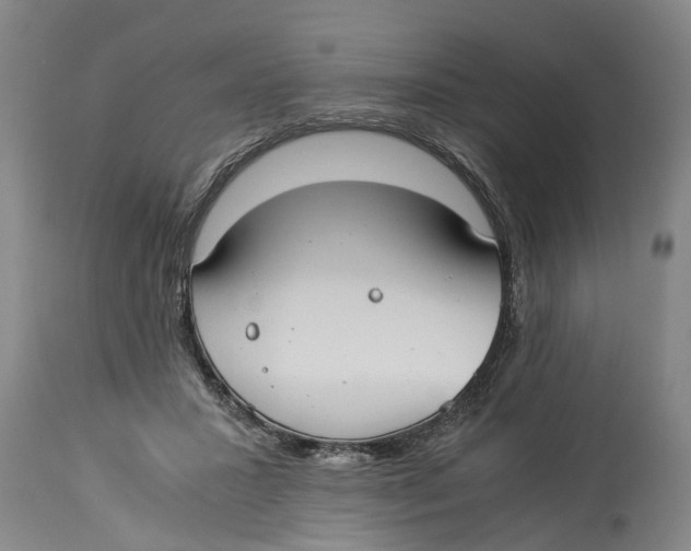 X0000114150407200911051447