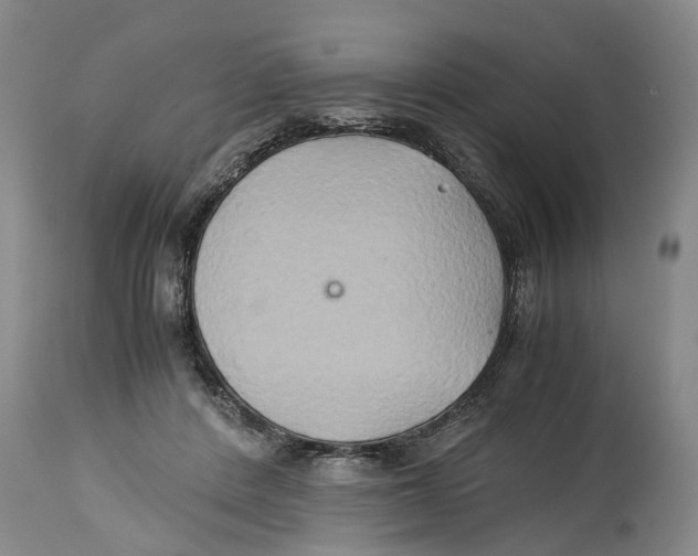 X0000114150408200911051447