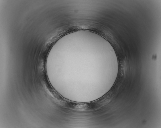 X0000114150410200911051447