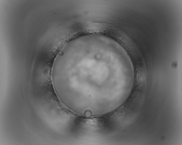 X0000114150411200911051447
