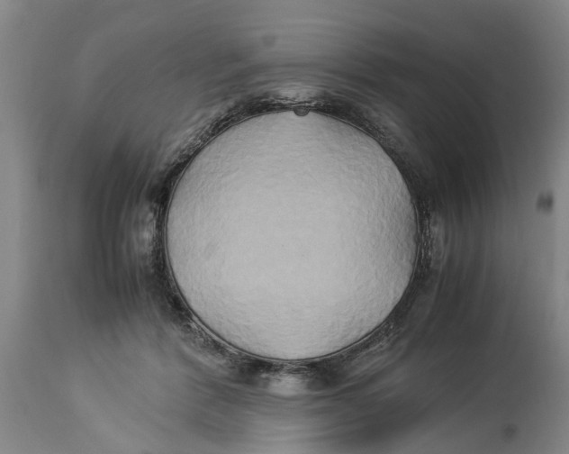 X0000114150412200911051447