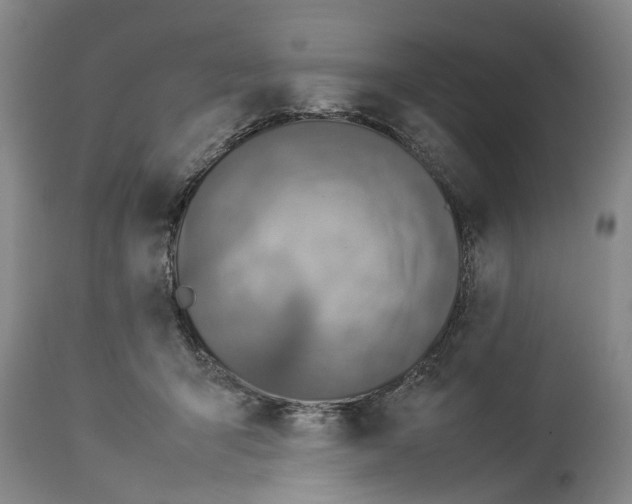 X0000114150415200911051447